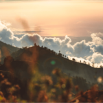Gallery Thumbnail 0